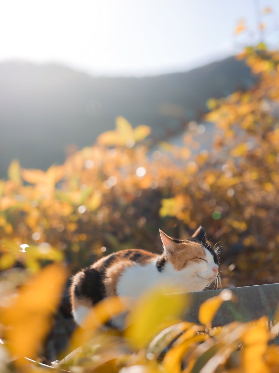 写真すてきすぎる！