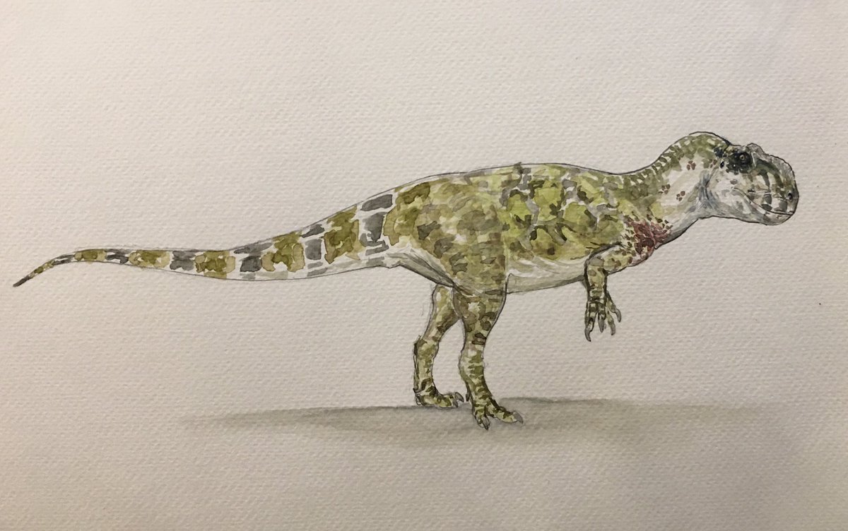 Yangchuanosaurus