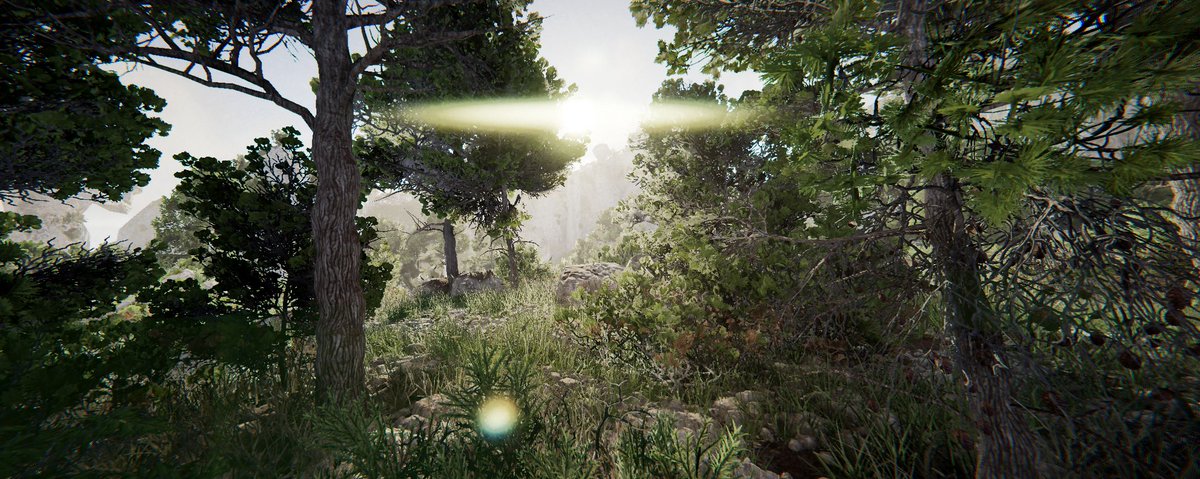 Calepin Studio tweet media