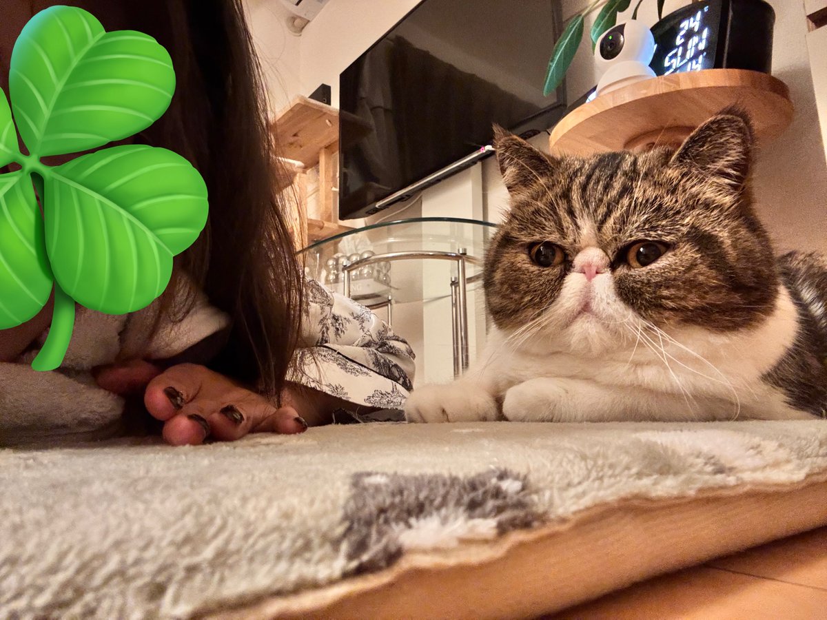 ちくわ坊や (@chikuwa3280) / Posts / X