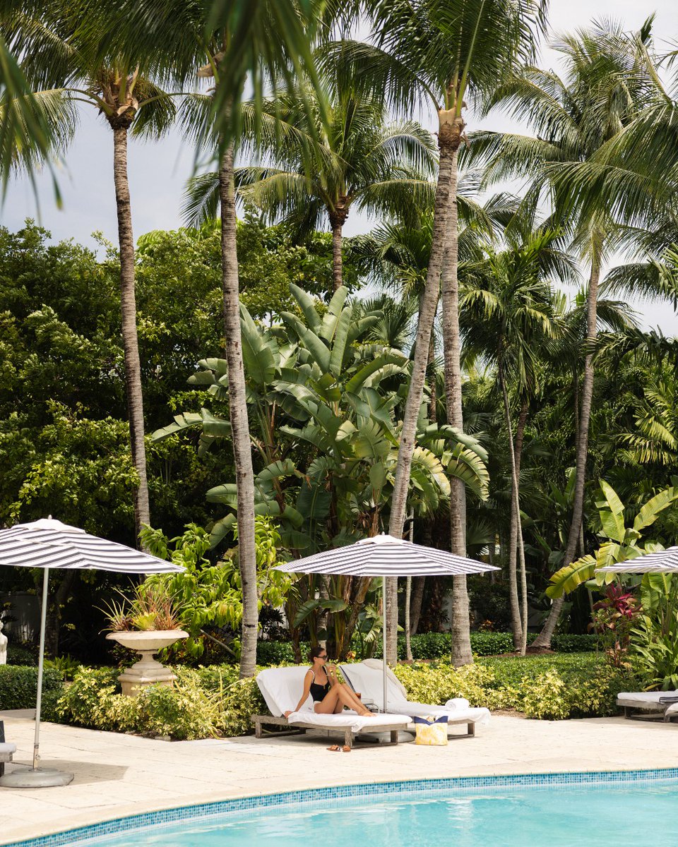 FSOceanClub's tweet image. Winter here means sun on your skin, palms overhead, and days spent poolside.

Visit the link to book your warm-weather getaway: bit.ly/43evN6F. 

#FSOceanClub #FourSeasons