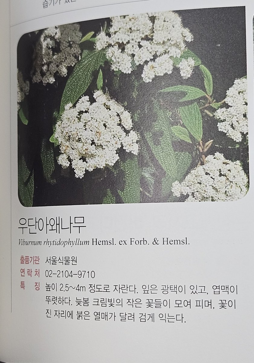 난 아직도 우단아.왜?나무가 실존한다는걸 믿을수 없는것 같음