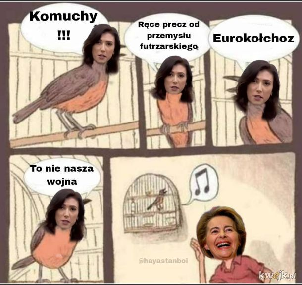 zyrokompas's tweet photo. @AGozdyra https://t.co/jiwCZd0Dte