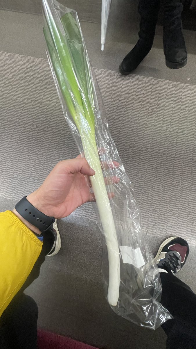 yopee04's tweet photo. 今日はなにプラかつのり宅で荒井さんノブヨシand僕が集まって、THEWを見ると言う会が催おされたんですけどかつのりさんが鍋を作ってくれたり諸々もてなしてくれた後、終電の兼ね合いで最後まで居た僕にだけ長ネギを貰って帰らせてくれました。かつのりフォーエバー。細切りにします https://t.co/1VZxHrAa5q