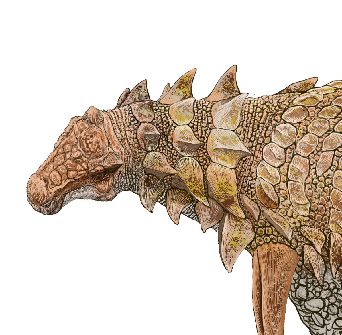 今日はここまで