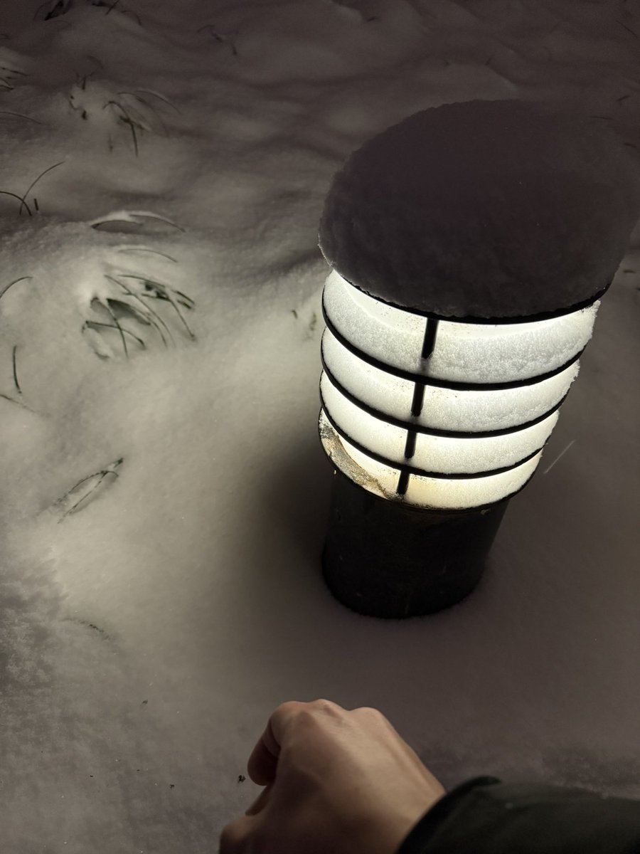 lu9024's tweet image. 别忘了自己想要的