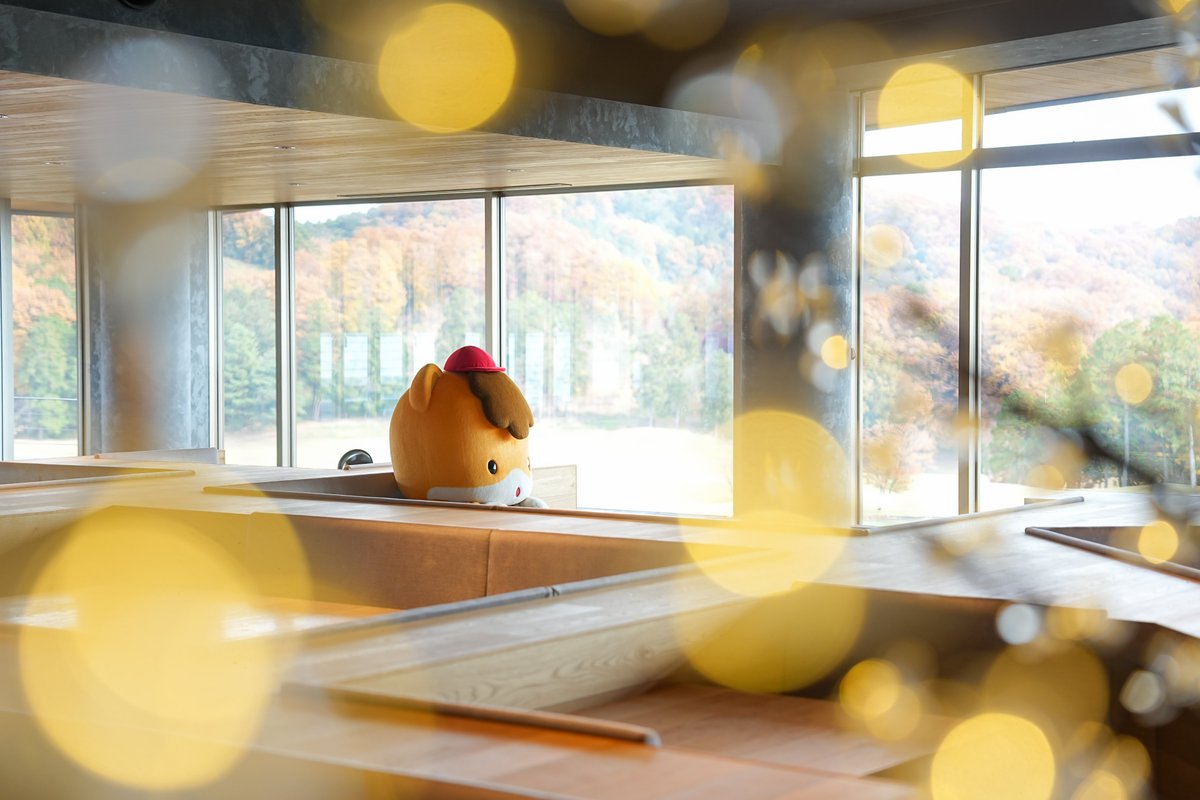 ひろりん様 00_title-2-1200x800.jpg