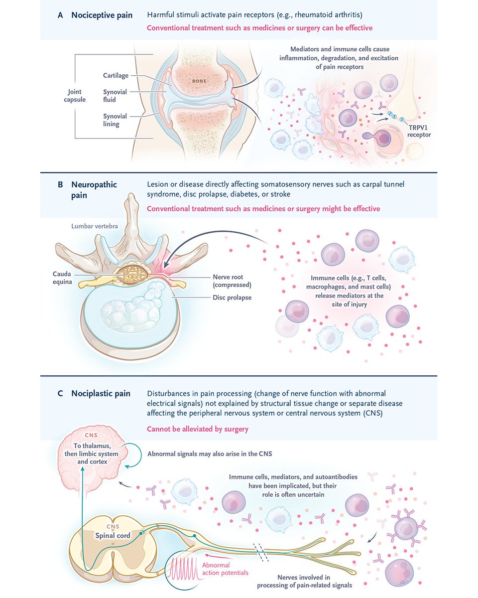 NEJM tweet media