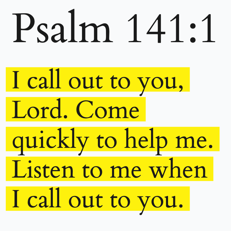 Holy Bible tweet media