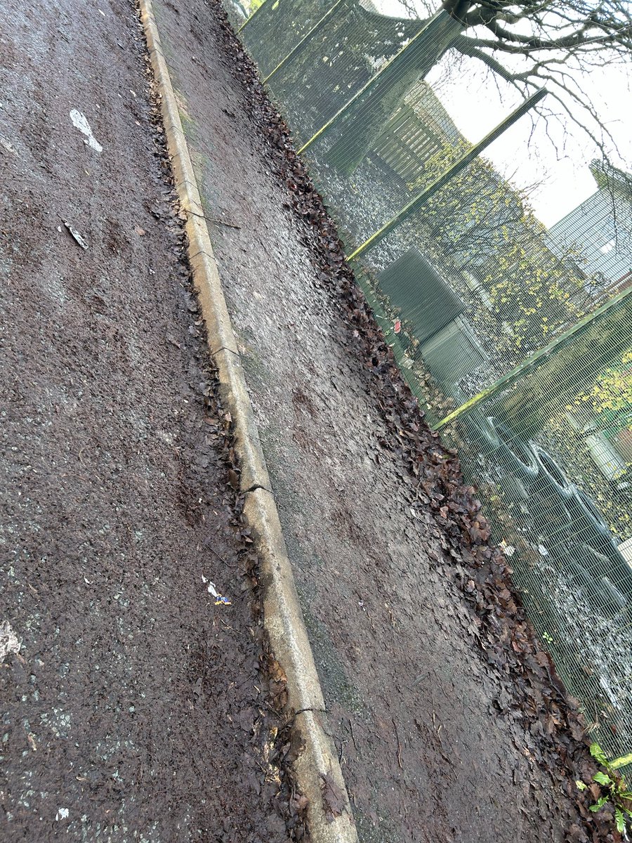 Deeplish C C tweet media