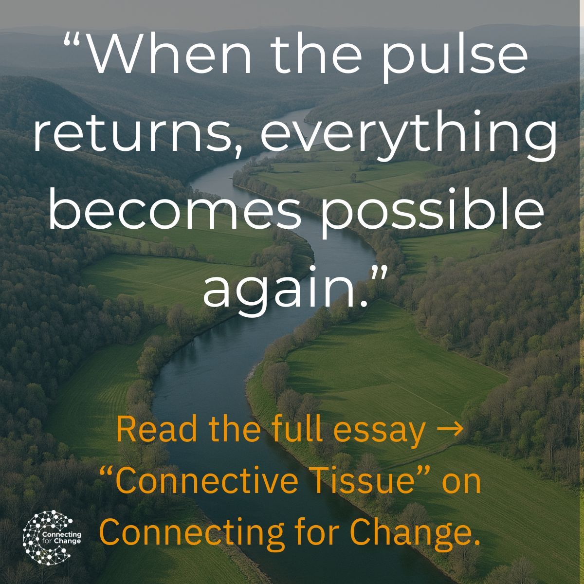 Connecting for Change LLC tweet media