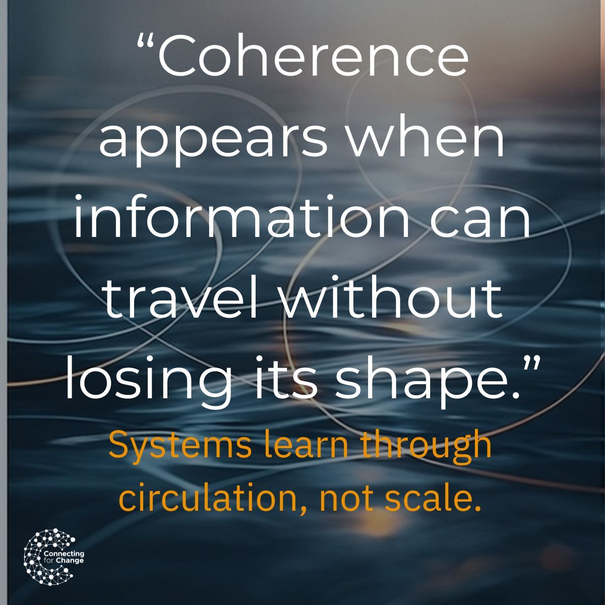 Connecting for Change LLC tweet media