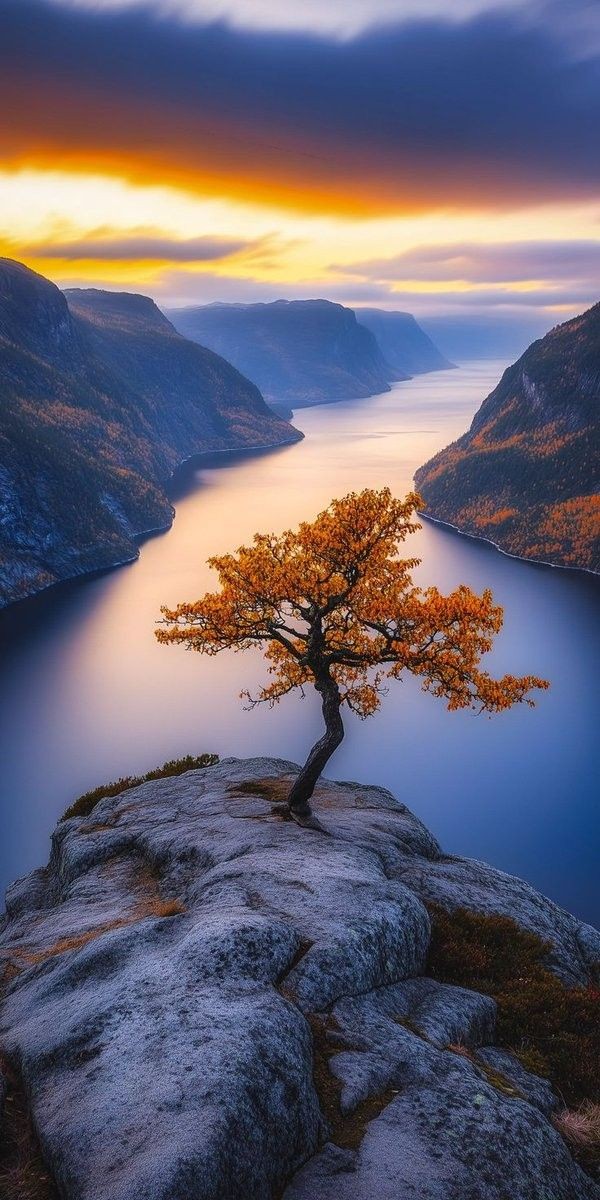 Earth (@earthglory_) on Twitter photo 