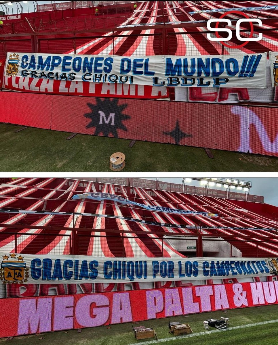 CAPdevida⭐ tweet media