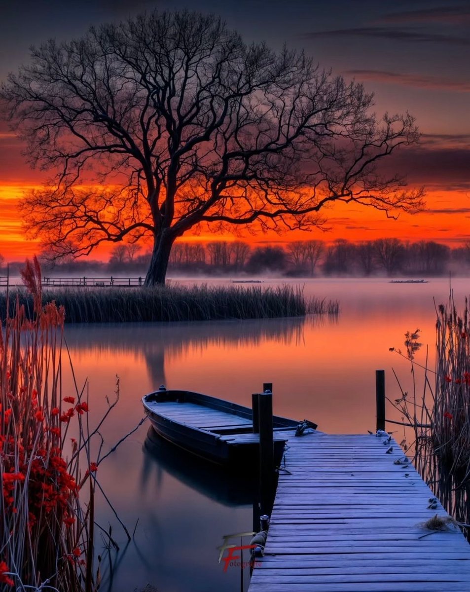 Ramblings tweet media