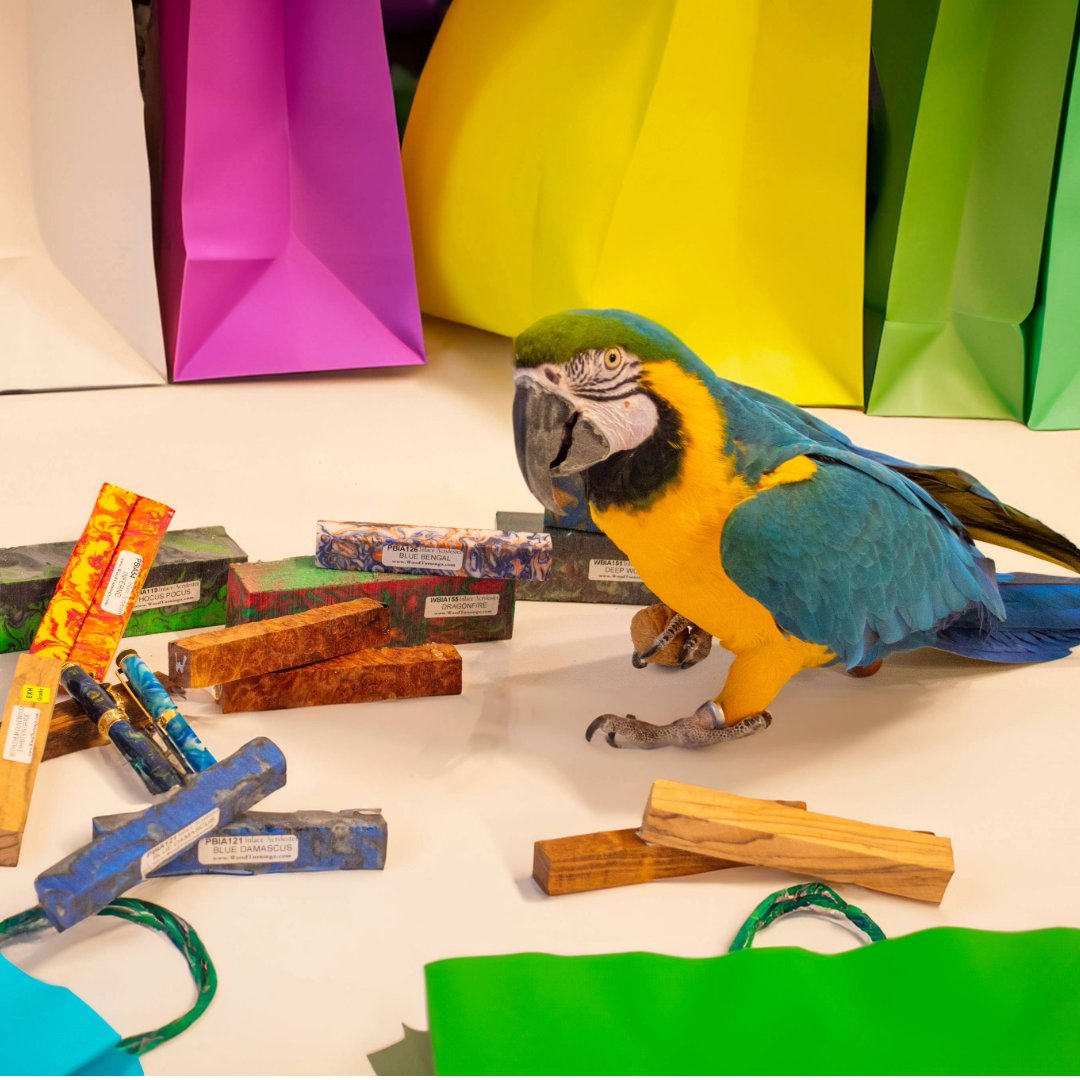 WoodTurningz's tweet photo. Ever heard a squawk when you call us? That's Freedom!🦜
She's our official office macaw and resident morale booster! Whether she's supervising our pen blanks or helping out with order packing, she keeps things interesting around here.
#TeamPet #OfficeBird #PenBlanks #Woodturning https://t.co/Kpf8bSeR8I