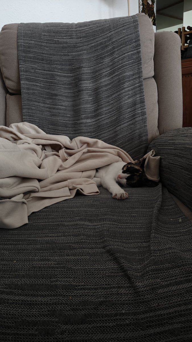 gente  hoy empiezo con los turnos de noche

así que Stream ahora en cuanto me haga un café y el Tebas Tonto Polla de los santos cojones no de mucho por culo