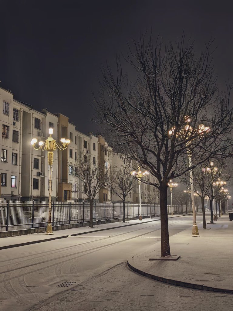 和雪一起到来的，是我的生日