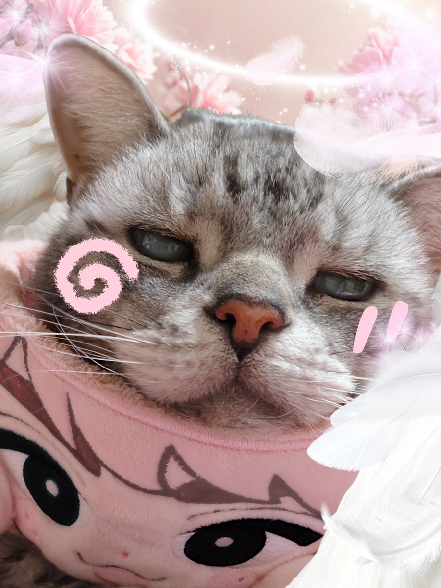 さっくん… きょぅは、 ミューバンで歌て踊て楽しんで 久しぶりのサウナ