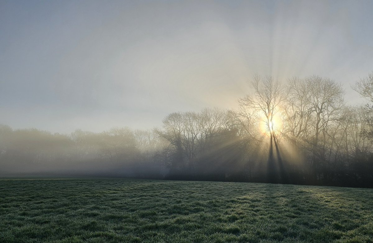 Such a glorious start to the day. Love the bright frosty winter mornings. 🥰