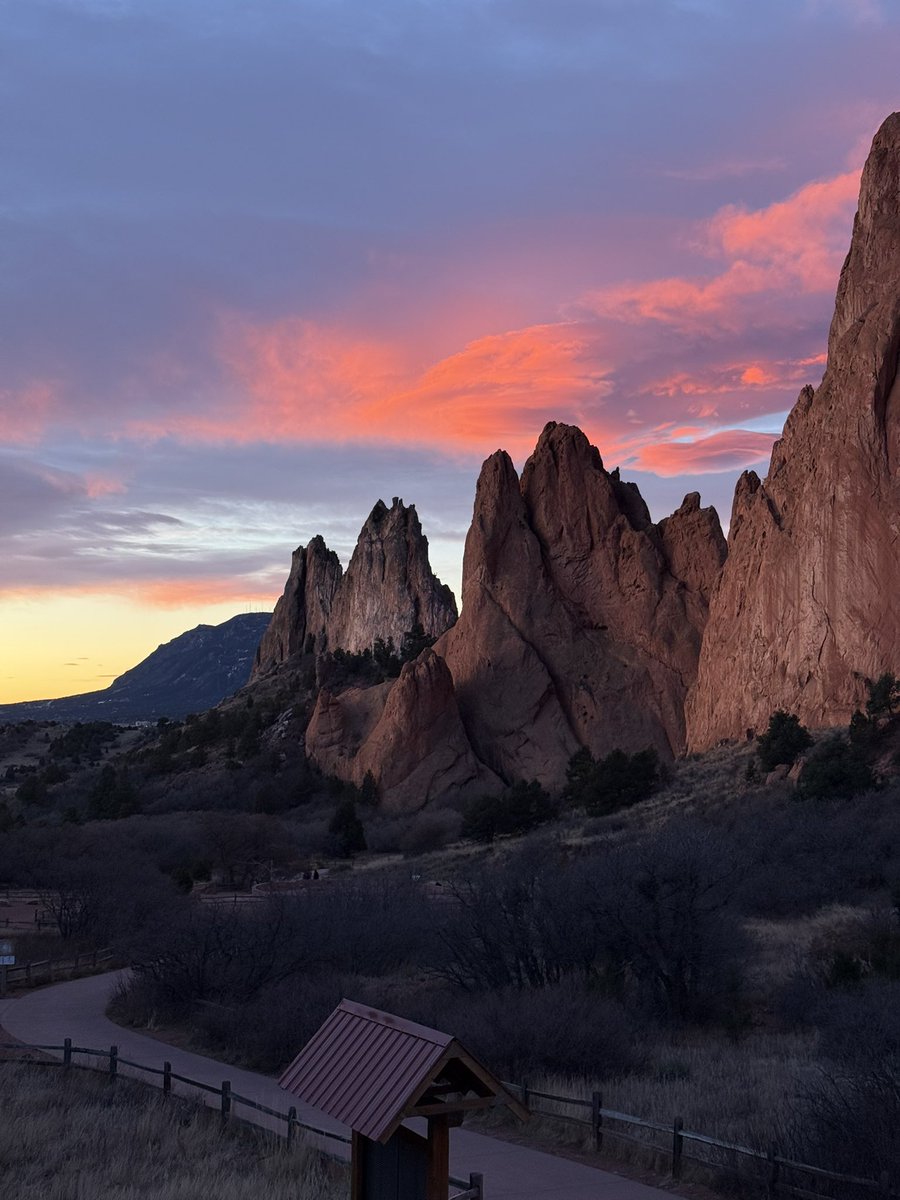 woke up early to tell the sun about you