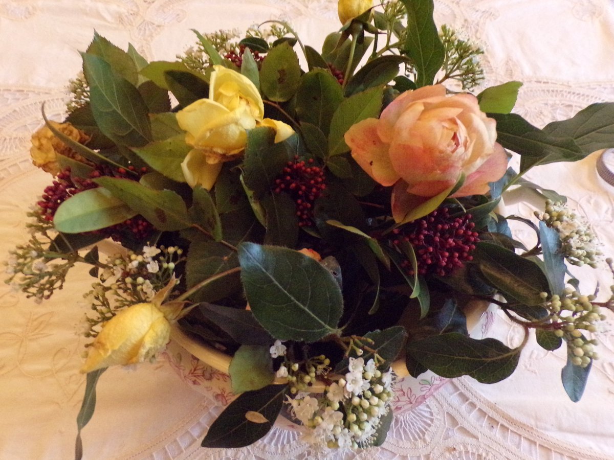 📸 Modeste et fragile composition d'hiver... 💐
         Un instant fleuri au Pays de Marie...     😊