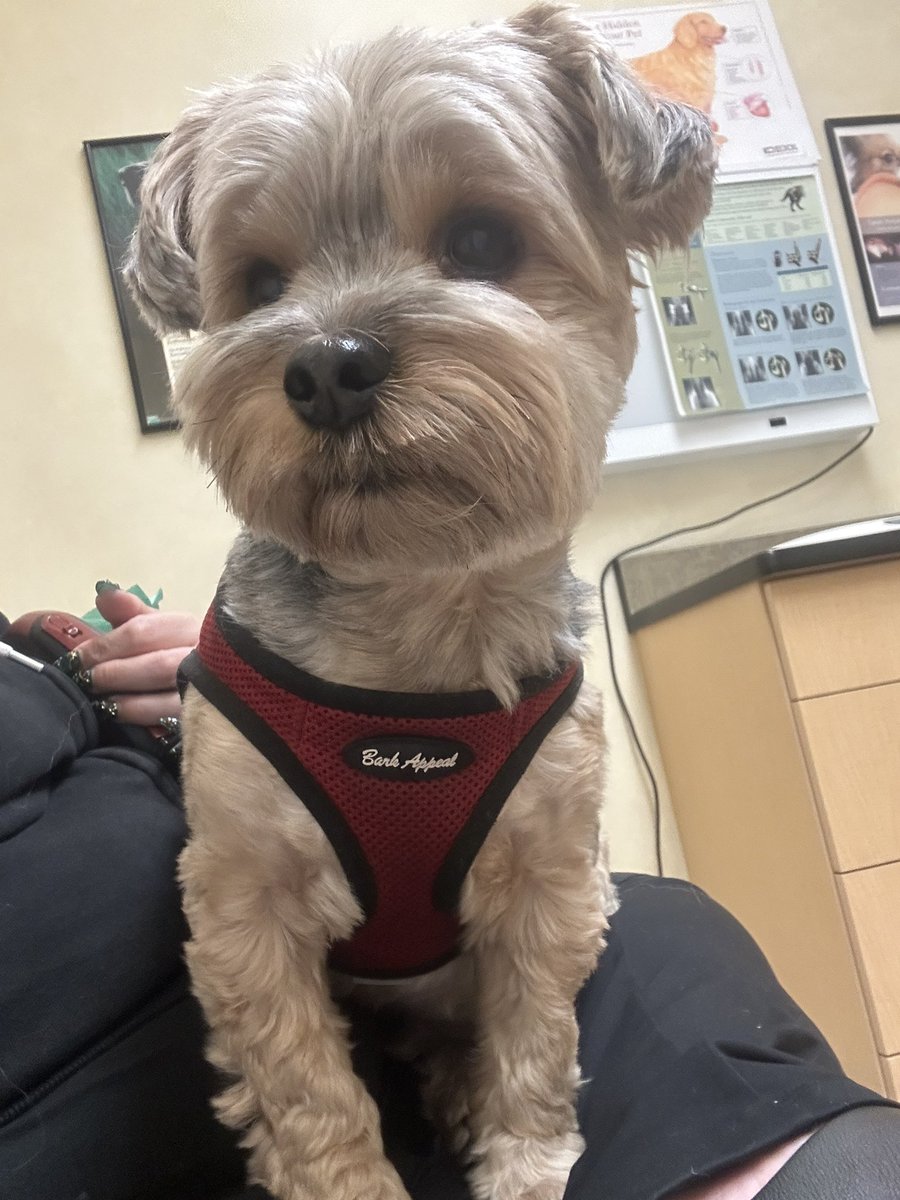 jules 🏴‍☠️🇵🇸antifa bus driver 💀🚍 tweet media