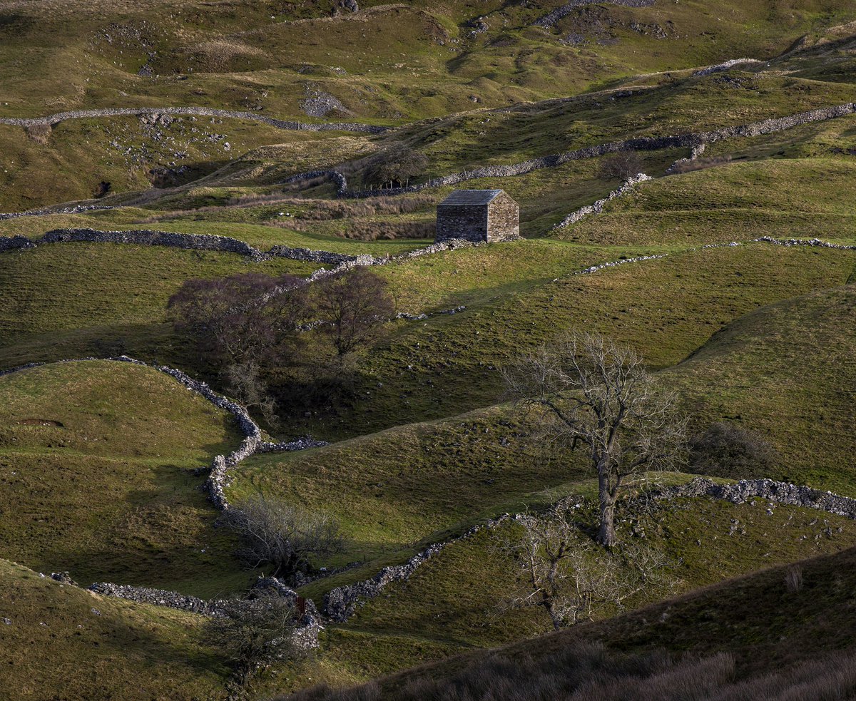 Old Dairy Swaledale tweet media