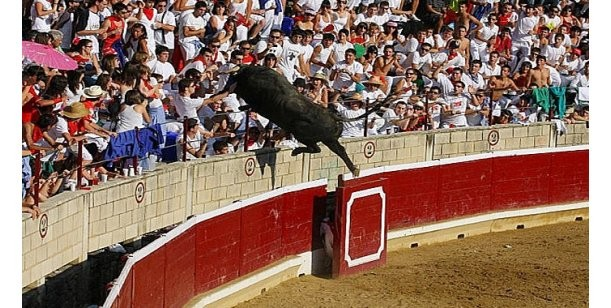 ¡Buenos días! #FelizDomingoATodos 
El novillo "Quesero" de Ana Corera de Larraga, siendo devuelto a corrales y dos intentos de saltar la barrera -rotura de asta en uno- al tercero llegó a la barrera de «El Cierzo». forostoreros.com/viewtopic.php?…
Causó 40 heridos ¿alguien lo vivió allí?