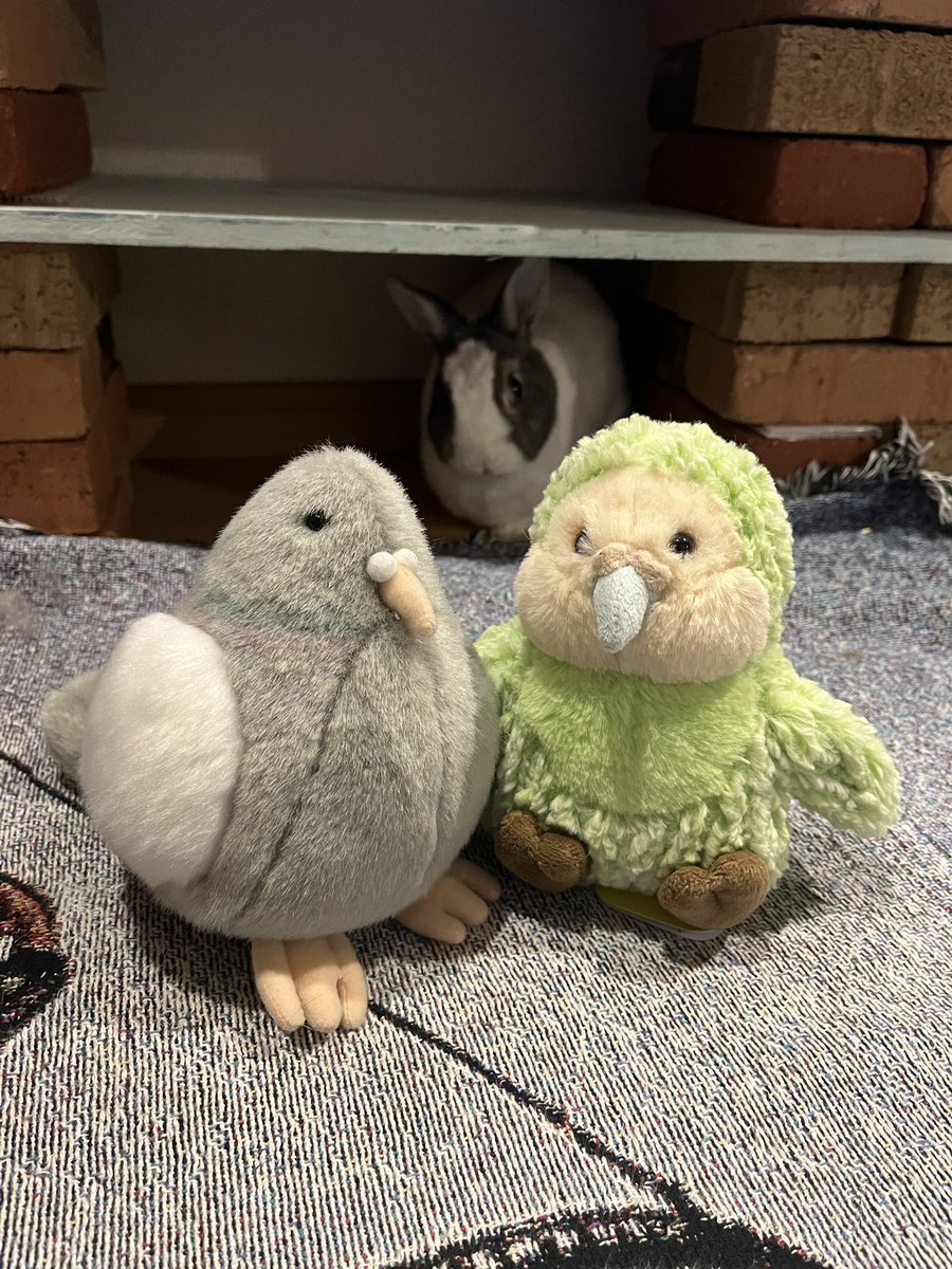 lIlI (@ratchimera) / Posts / X