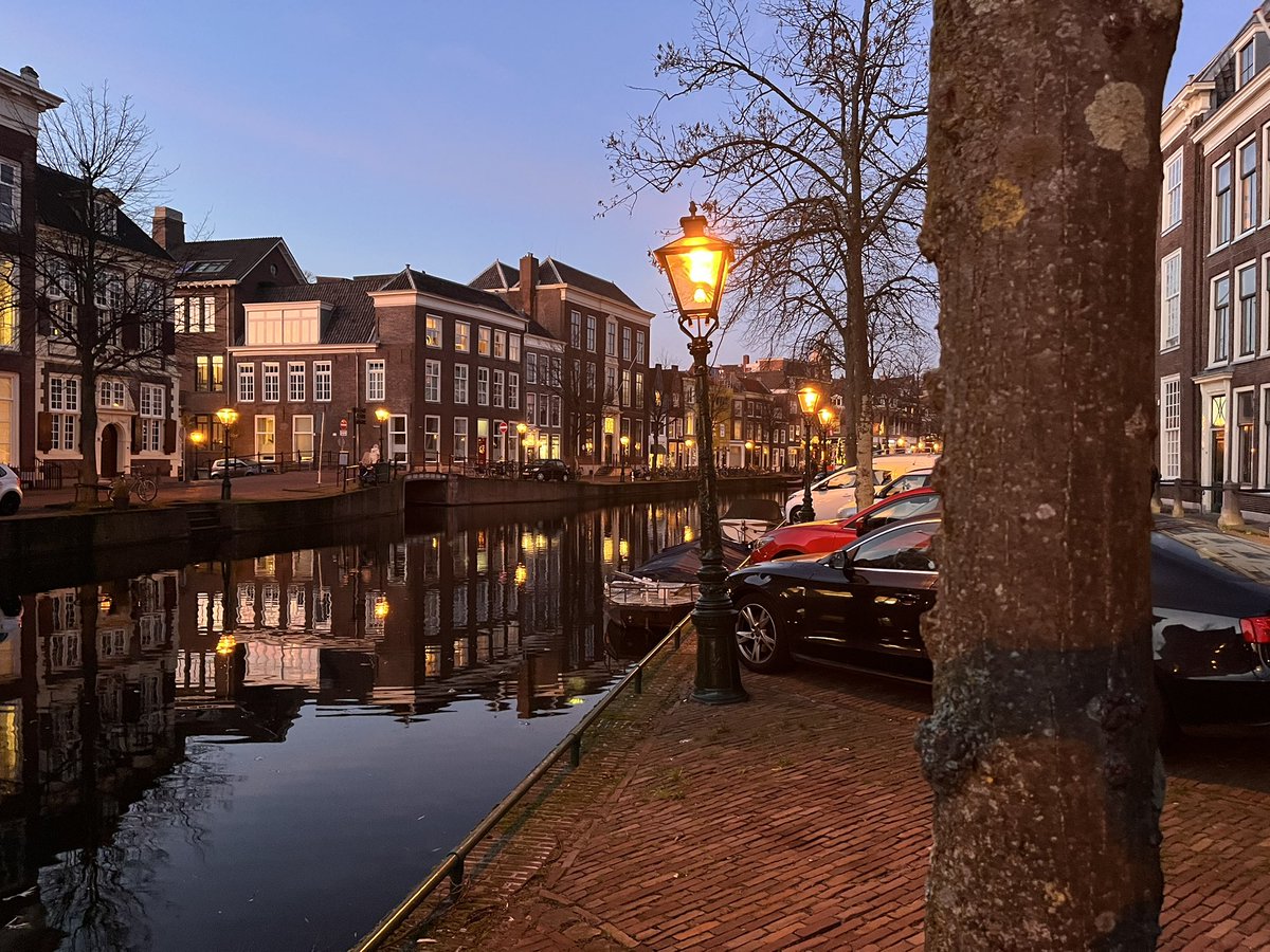 Friso Geerlings tweet media