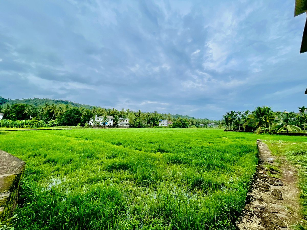 Makeithappy00's tweet image. 