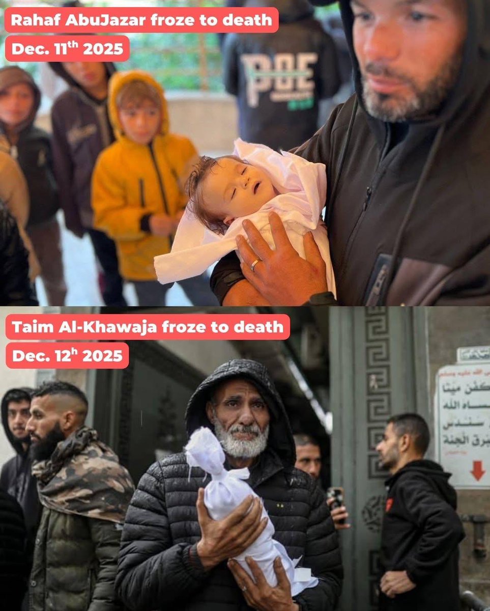 rulajebreal's tweet photo. Un’indagine investigativa di @MadaMasr rivela come una rete di mercenari senza scrupoli abbia guadagnato 1 miliardo di dollari "coordinando" l'ingresso di merci a Gaza, sotto il completo controllo israeliano che trae profitto dalla carestia/fame e dello sterminio dei palestinesi. https://t.co/fnpEbT4lhE
