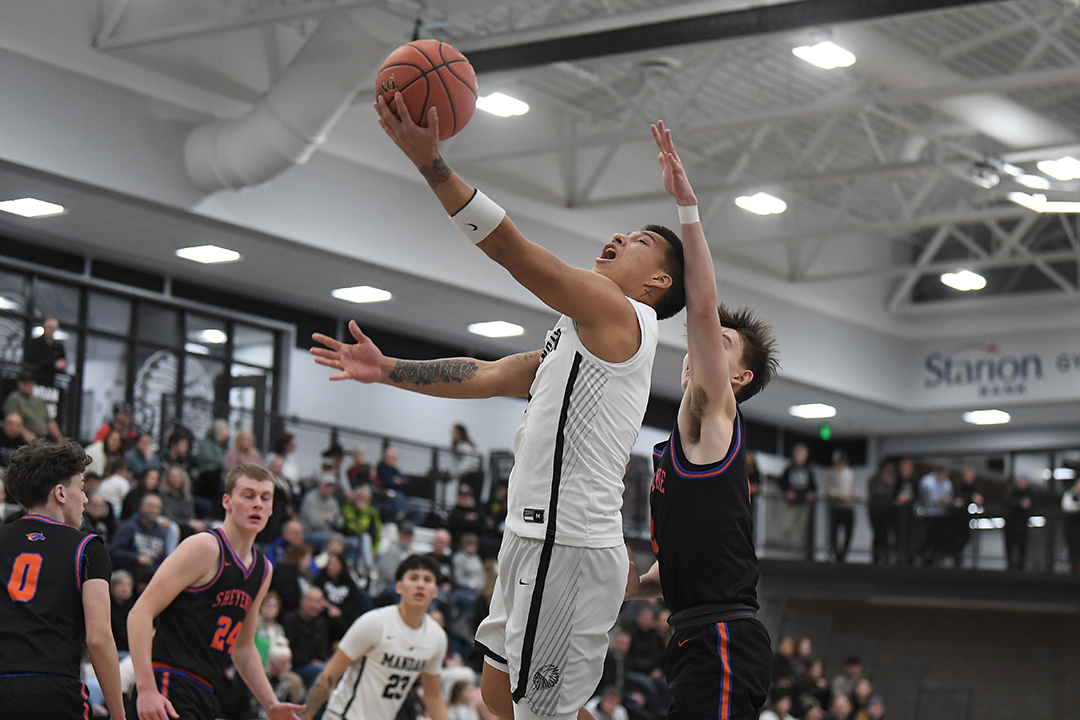 WDA Sports tweet media