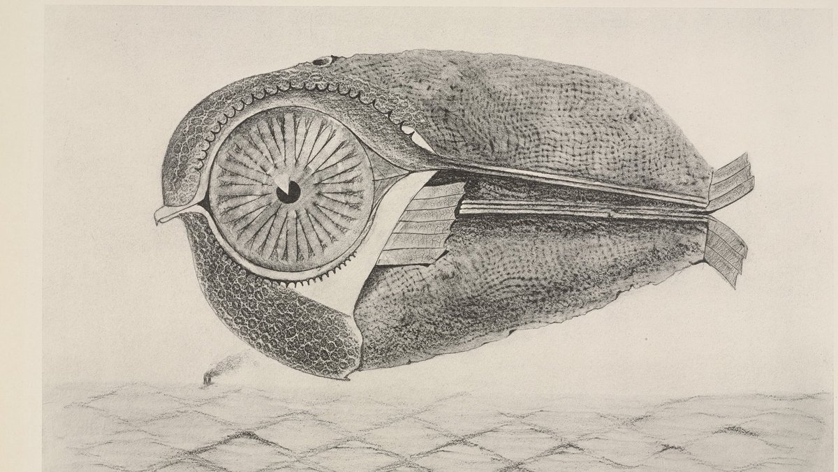 100YearsAgoLive's tweet image. German artist Max Ernst introduces a new graphic art technique that he calls “frottage.” 

The technique uses pencil rubbings of objects as a source of images.