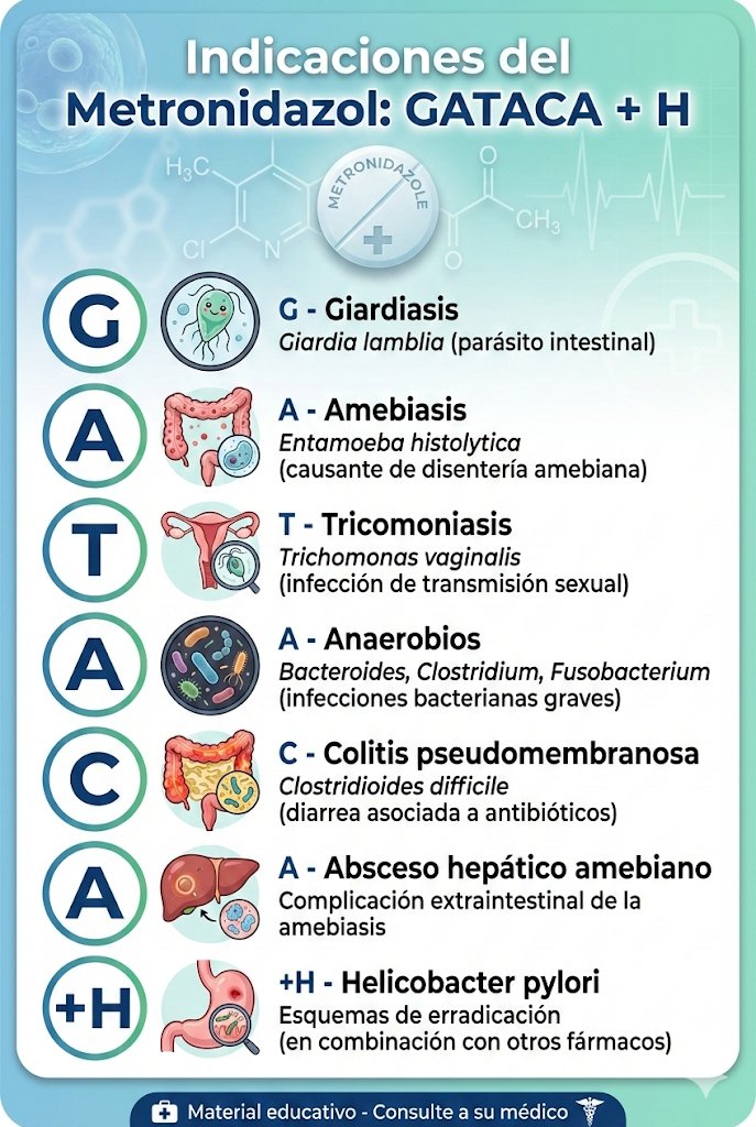 Metronidazol 

GATACA + H 🎬
🔹 G - Giardiasis
🔹 A - Amebiasis
🔹 T - Tricomoniasis
🔹 A - Anaerobios
🔹 C - Colitis por C. difficile
🔹 A - Absceso hepático amebiano
➕ H - H. pylori

💡 Como la película GATTACA, pero con una sola T... ¡y agregamos la H de Helicobacter!

⚠️