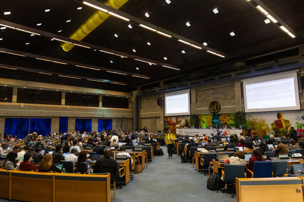 Bravin Onditi tweet media