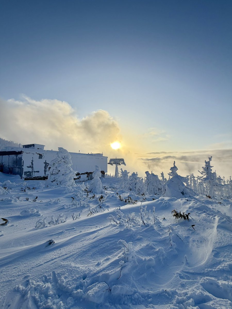 もっちゃん (@snowmocchan) / Posts / X