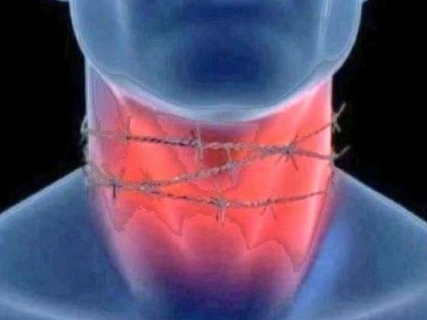 tomatourss's tweet image. pov: ngomongin plan kuliah &amp;amp; jurusan bareng ortu