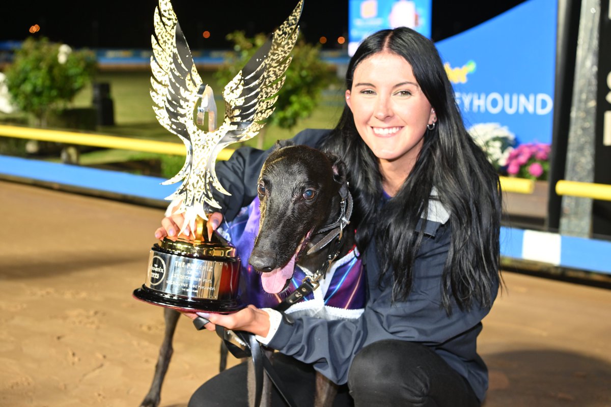 Melbourne Greyhounds - The Meadows tweet media