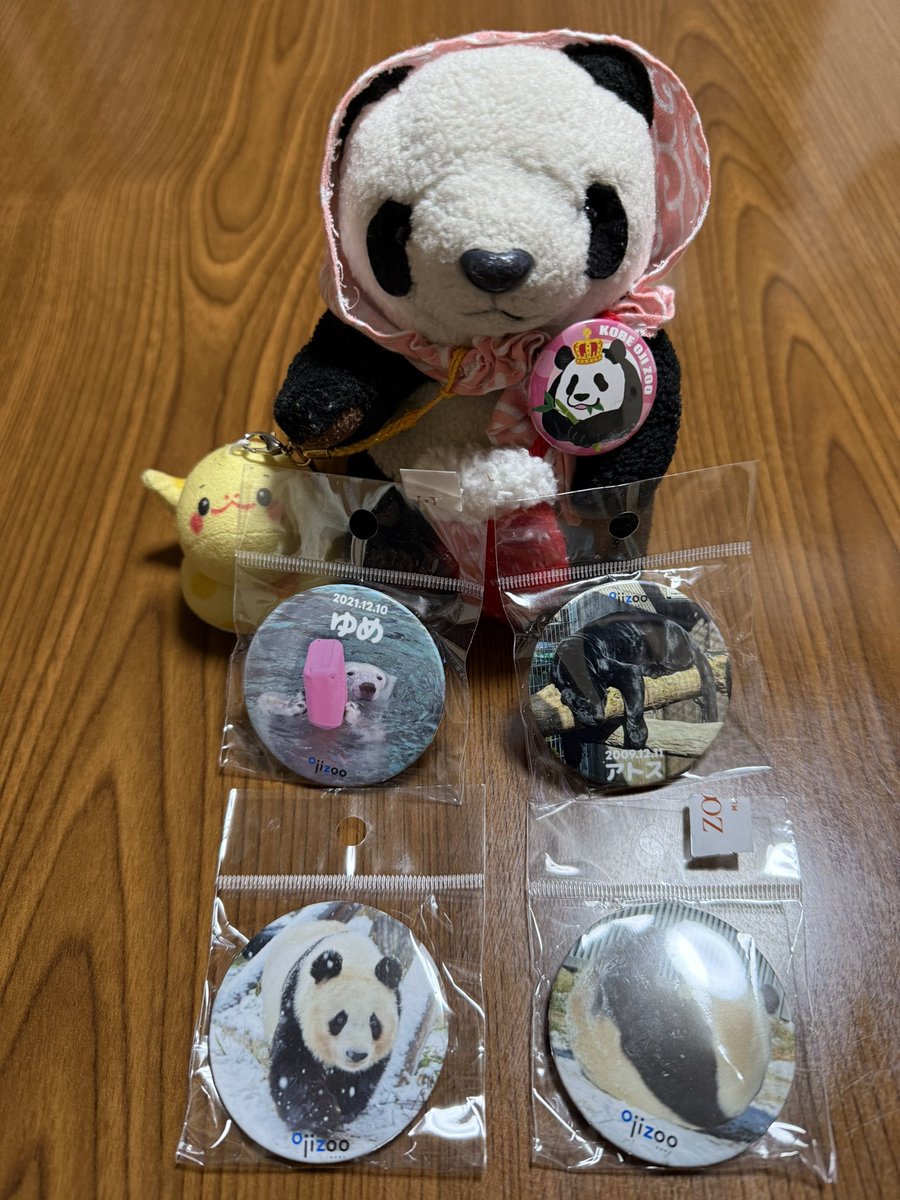 tonipanda2's tweet photo. 12がつのおじょーさまばっぢだお♪
ゆきとおじょーさまだお❄️🐼
ゆめちゃんとアトスどののおたんじょーびばっぢもかってくりたお♪
#タンタン #旦旦 #ゆめ #アトス
#ZOOQLE #ズークル #王子動物園 https://t.co/uCAnjk2RN0