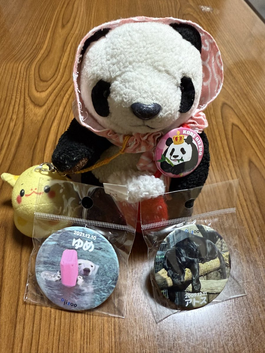 tonipanda2's tweet photo. 12がつのおじょーさまばっぢだお♪
ゆきとおじょーさまだお❄️🐼
ゆめちゃんとアトスどののおたんじょーびばっぢもかってくりたお♪
#タンタン #旦旦 #ゆめ #アトス
#ZOOQLE #ズークル #王子動物園 https://t.co/uCAnjk2RN0