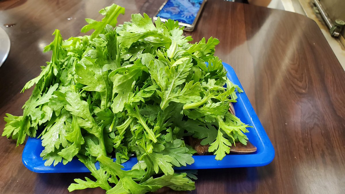 Akemi A (@au_akemi) / Posts / X