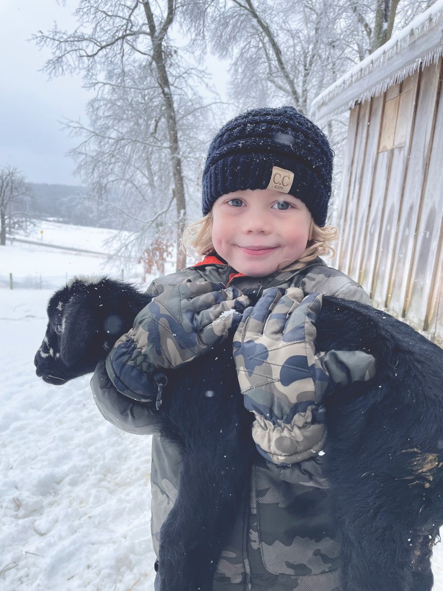 KentuckyLiving's tweet photo. Pearson Pryor keeps watch over his flock on the family farm in Hawesville—including this winter lamb. Photo by his mom, Savannah Pryor, a Kenergy consumer-member. Send us your snapshot! https://t.co/aTforqbZkB
#snapshotsaturday https://t.co/a3ouo1HMni