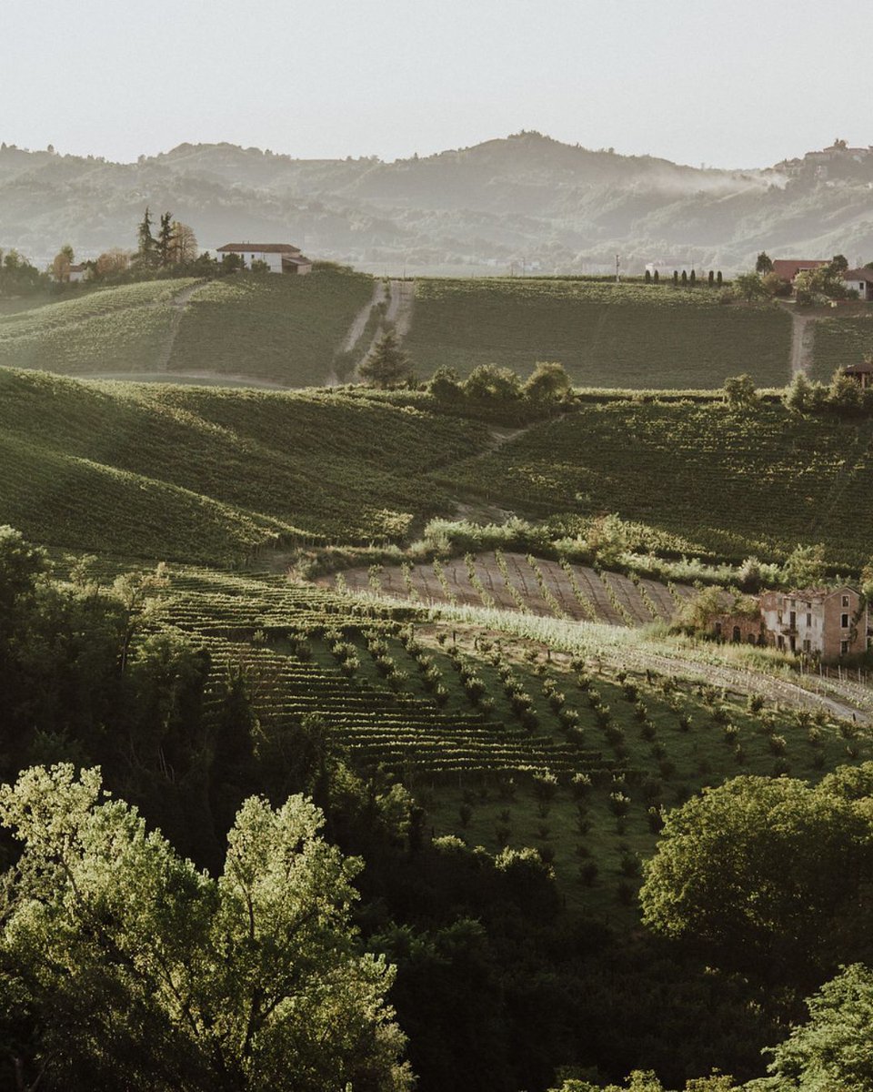 Perched among vineyards and olive groves in Piedmont, La Villa Hotel is an elegant escape where timeless style meets relaxed luxury. From classic interiors to panoramic views of the Alps, every moment is a celebration of Italy’s tranquil beauty 🤍🌿 

buff.ly/NtPpUOg