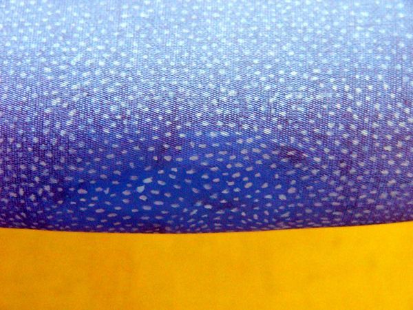 ColorGlo's tweet image. Color Glo International uses a proprietary process involving expert color matching and material restoration techniques to repair and re-dye fabric tears so effectively that they become virtually invisible.  Contact us today to find a tech in your area!