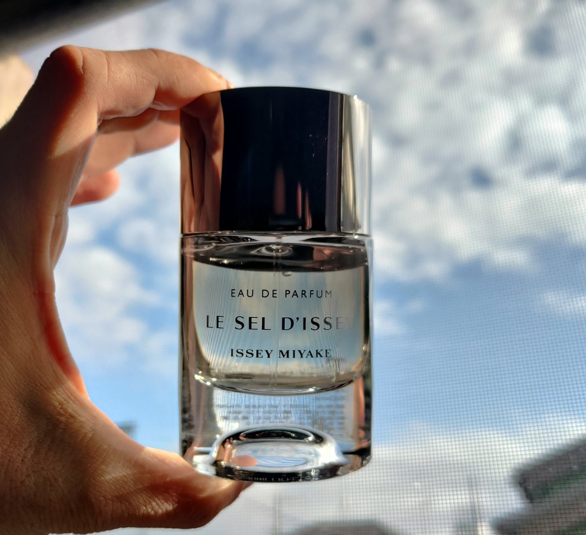 ル セル ドゥ イッセイ EDP
ISSEY MIYAKE LE SEL D’ISSEY

EDTは暖かい季節向きだけど、このEDPは秋冬でもいける匂い。
EDTより濃厚で厚みのある香り。
当たり前だがEDPの方が香りが主張する。
唯一無二の匂いでなかなか似ている香水はないと思う。