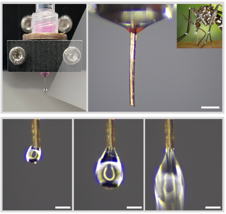 【蚊プリンター】
亡くなった蚊の口針を3Dプリンターの超細ノズルとして再活用する新技術「ネクロプリンティング」が開発された。自然が持つ構造的な巧妙さを部品として組み込む試みである。