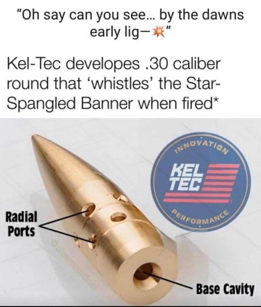 Kel-Tec: The Florida of firearms manufacturing 🇺🇸🤠