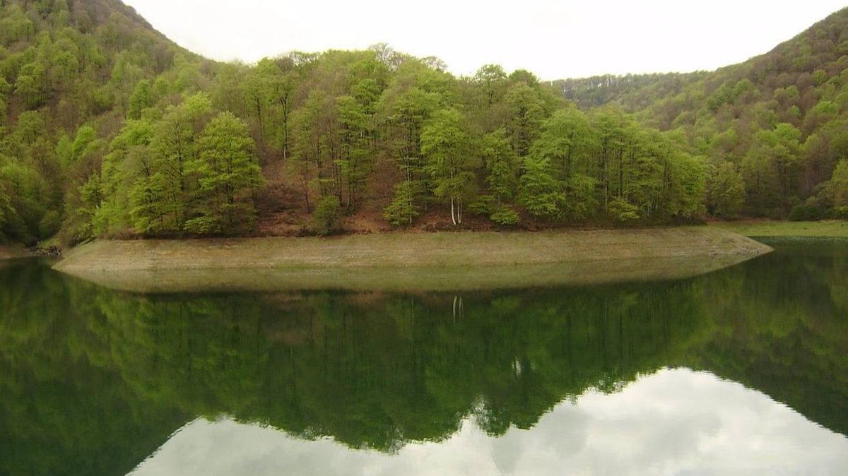 Cuentos e historias para despertar
17 de diciembre de 2014
LA PAZ PERFECTA
siyocambiotodocambia.blogspot.com/2014/12/la-paz…